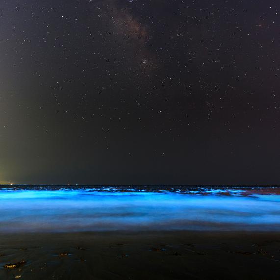 Baths in luminous plankton