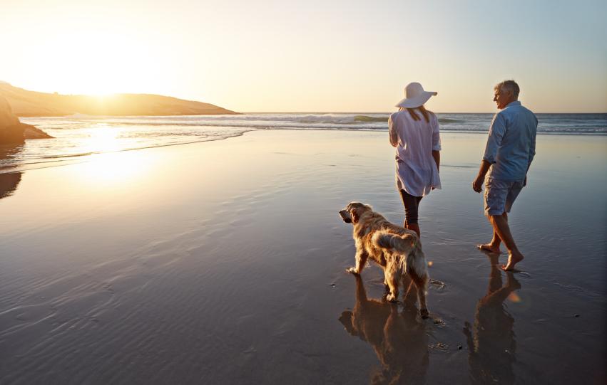 dignissimum nomina etiam valitudinis rapiunt; Petfriendly